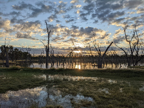 Lara Wetlands